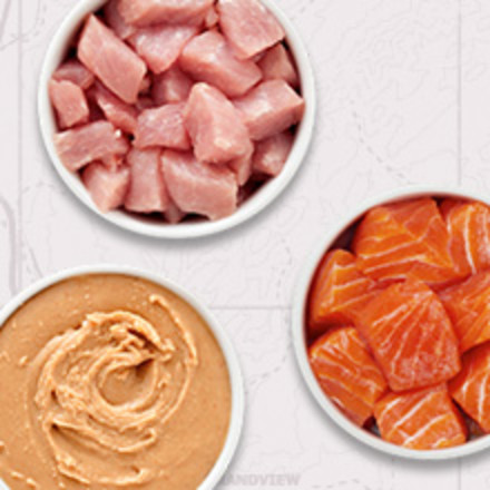 Image of raw chicken, peanut butter, and raw salmon in a bowl on a plain white background.