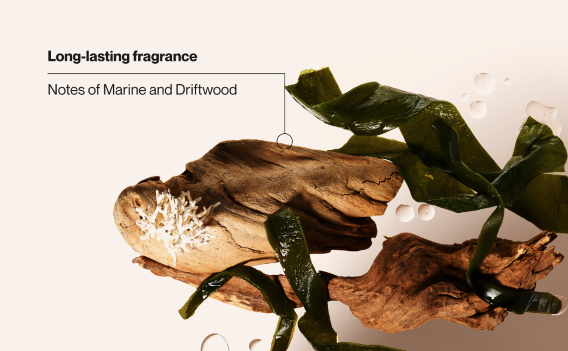 Driftwood, marine plants & coral highlight Suave Ocean Charge Antiperspirant’s refreshing scent.