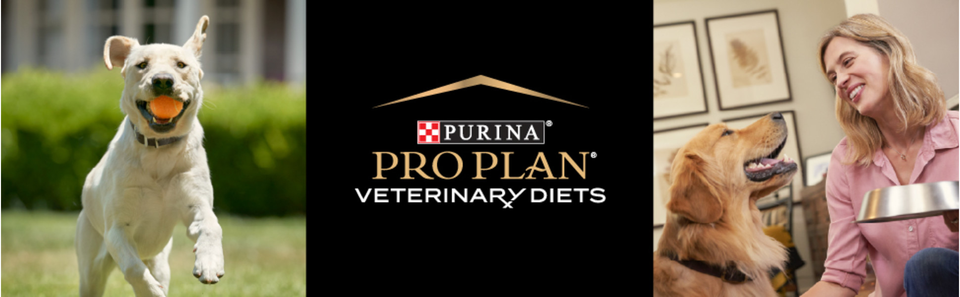 Pro plan veterinary diets dog allergy H.A. E.L. D.R.M. dog food products