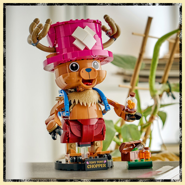 Put on display using the stand and accompanying nameplate.