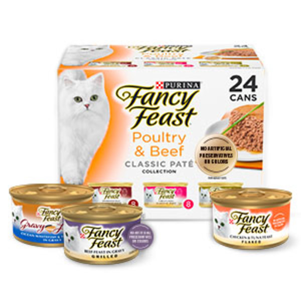 cheap kitten food