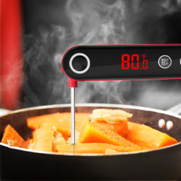  ThermoPro TP01A Digital Meat Thermometer for Cooking Candle  Liquid Deep Frying Oil Candy, Kitchen Food Instant Read Thermometer with  Super Long Probe, Backlit, Lock Function: Home & Kitchen