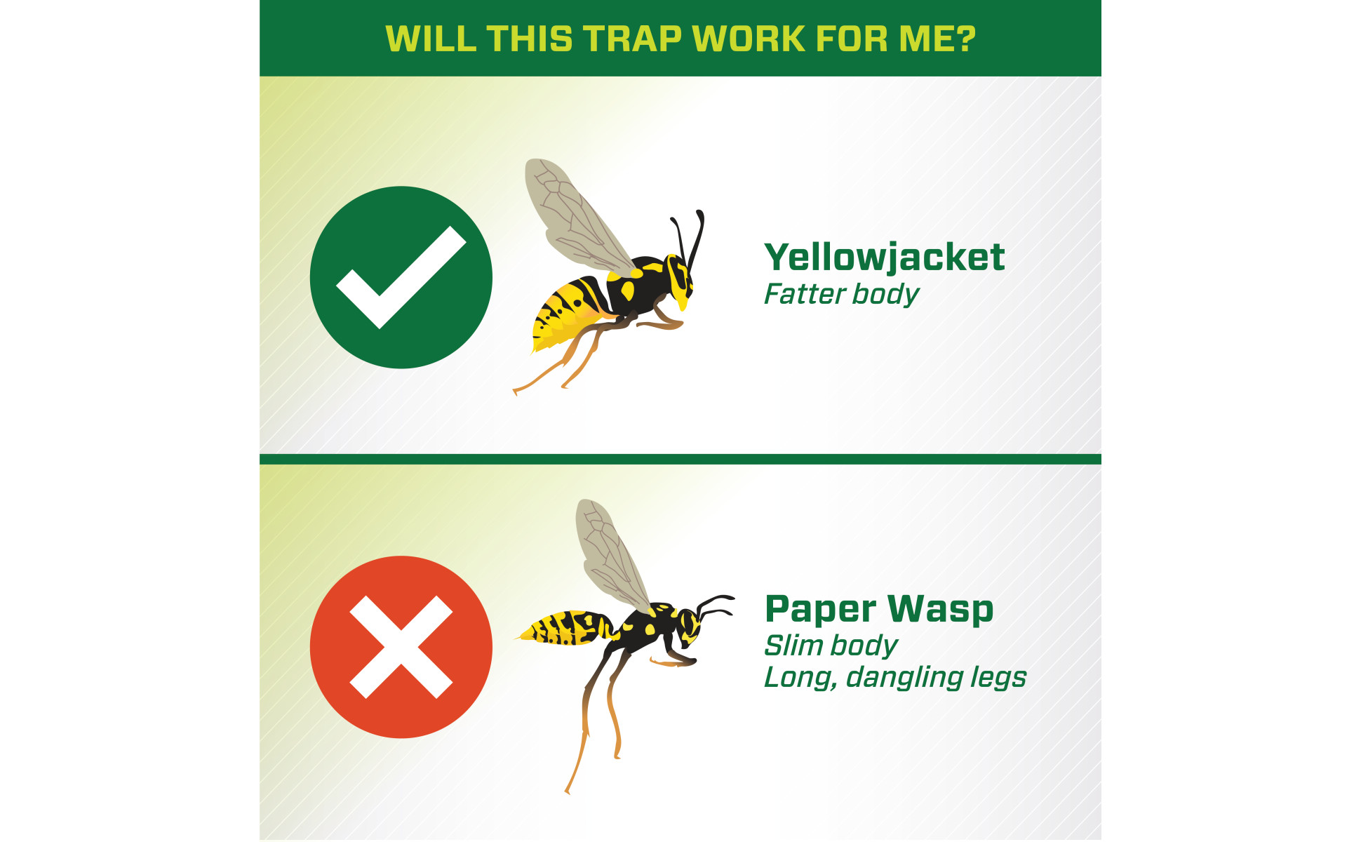 RESCUE TrapStik for Wasps Mud Daubers and Carpenter Bees 100533148