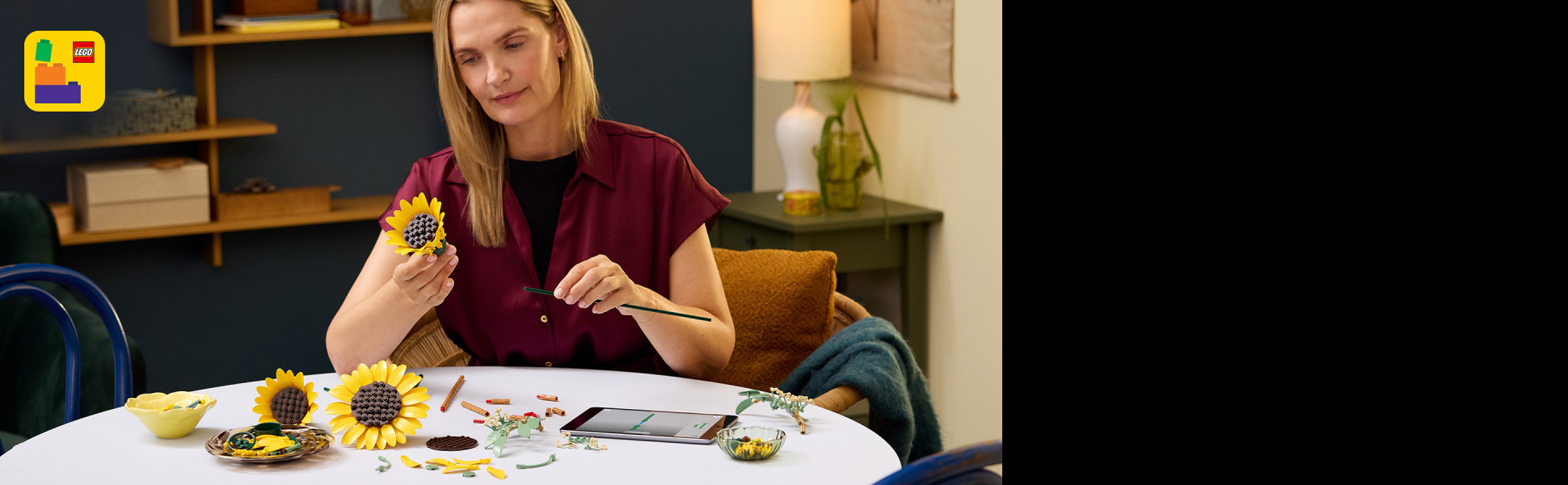 Includes interactive 3D building instructions