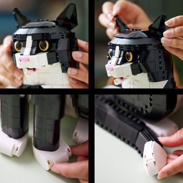 Rotate the cat’s head and adjust its ears, paws and tail.
