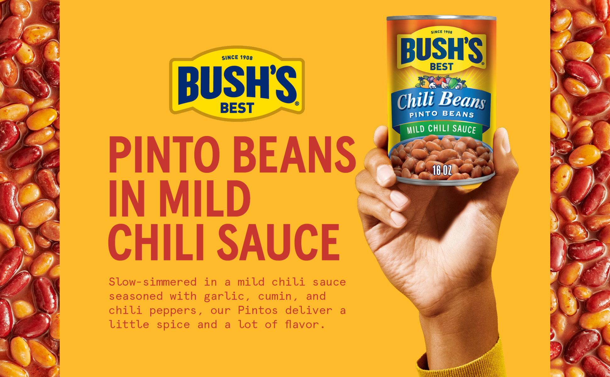 Bush's Chili Beans, Canned Pinto Beans in Mild Chili Sauce, 27 oz