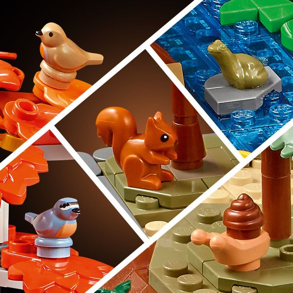 Includes a robin, nuthatch, squirrel, frog and snail.