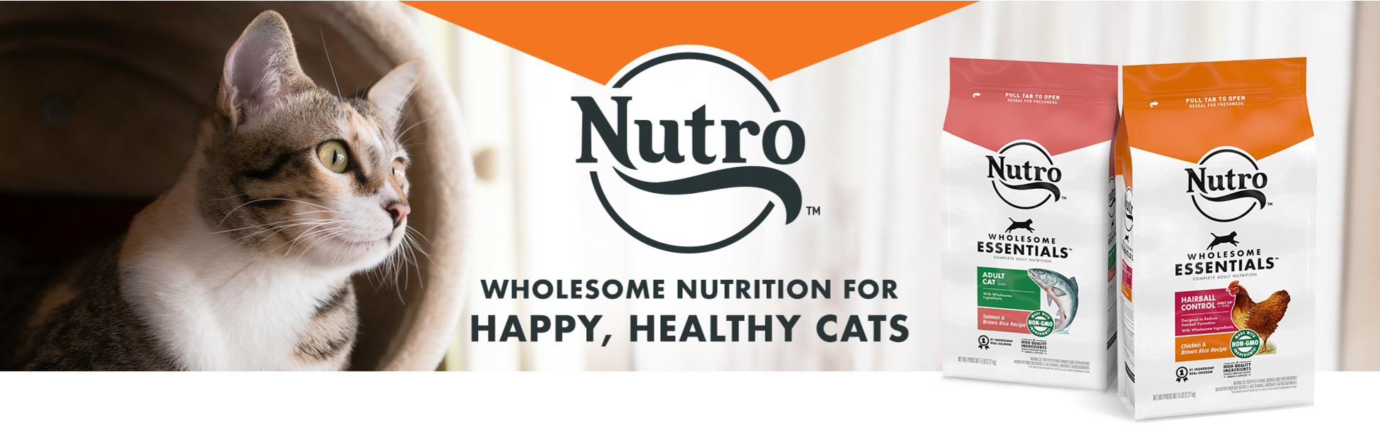 Nutro Wholesome Essentials Natural Salmon Brown Rice Dry Cat