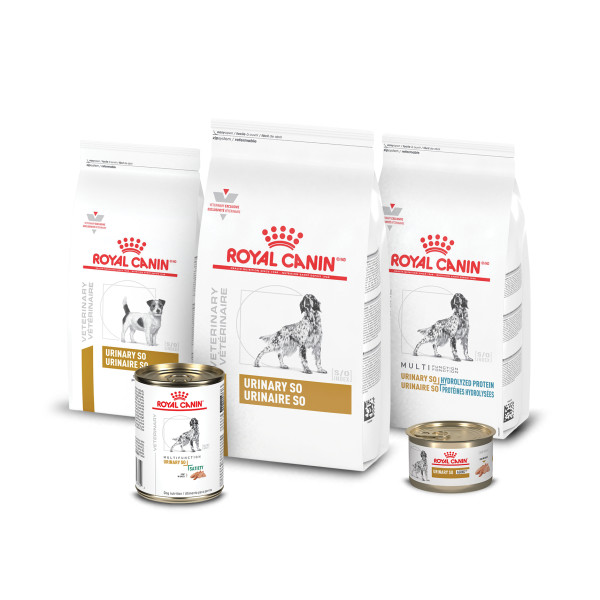 Royal Canin Veterinary Diet Canine Urinary SO Adult Loaf in Sauce