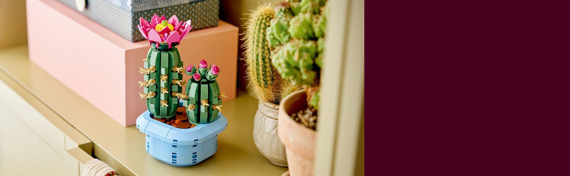 Nature gift idea for kids