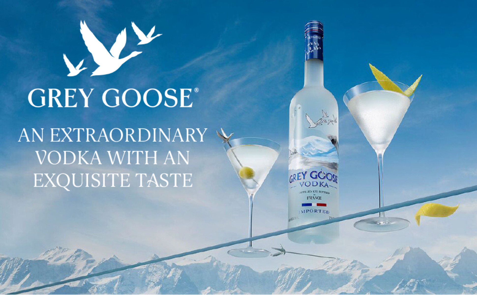 Gray Goose Vodka - Buy online - Flavor Shop - Celebrating TASTE