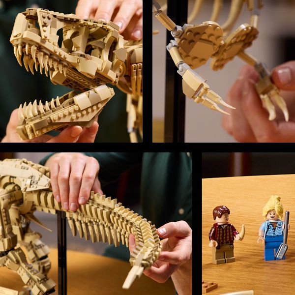 Movable jaw, posable arms and tail, plus 2 minifigures.