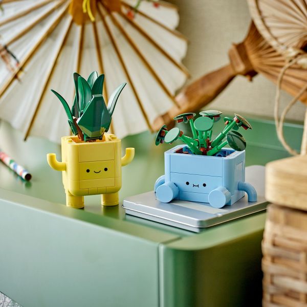 Once complete, the plants become bedroom or shelf decor.