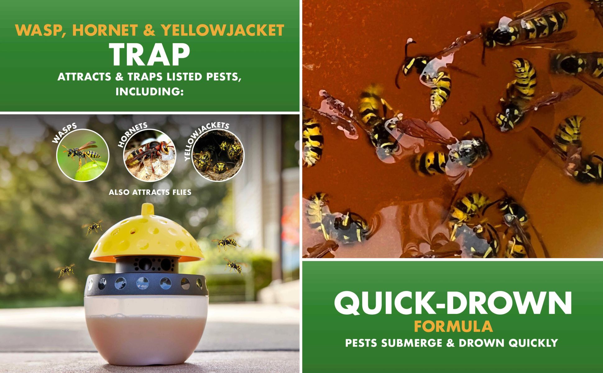 Spectracide Wasp, Hornet and Yellow Jacket Canister Insect Trap (1