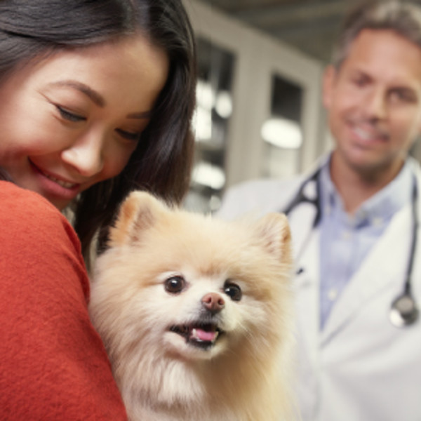 Pet owner holding dog at veterinarians office