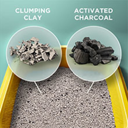 Close up visual of the clumping clay and activated charcoal in Tidy Cats Free and Clean.