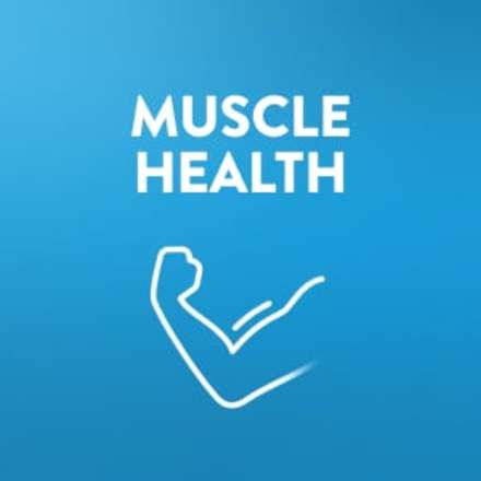Ensure Plus shakes with nutrients to support muscle health.