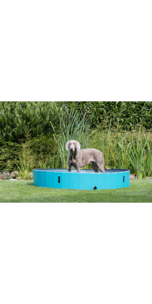 39483 - TRIXIE Portable Dog Splash Pool, XX-Large