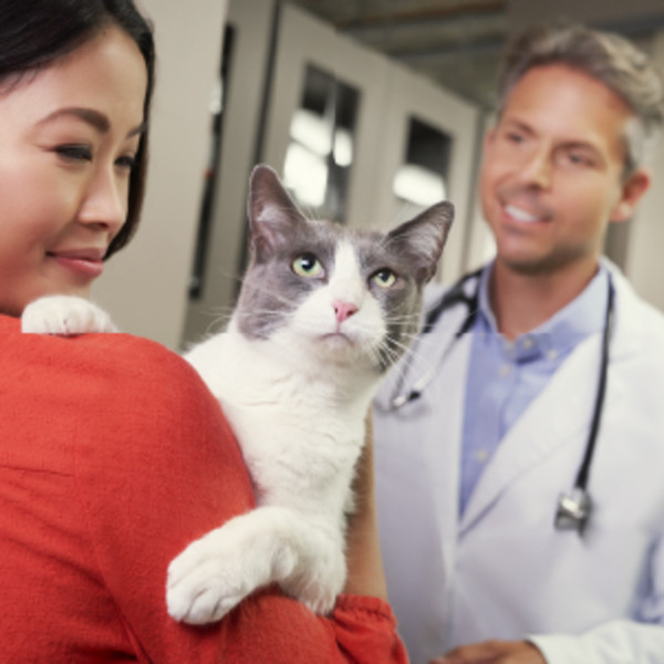 Pet owner holding cat at veterinarians office, Pro Plan Veterinary Diets, trusted advanced nutrition