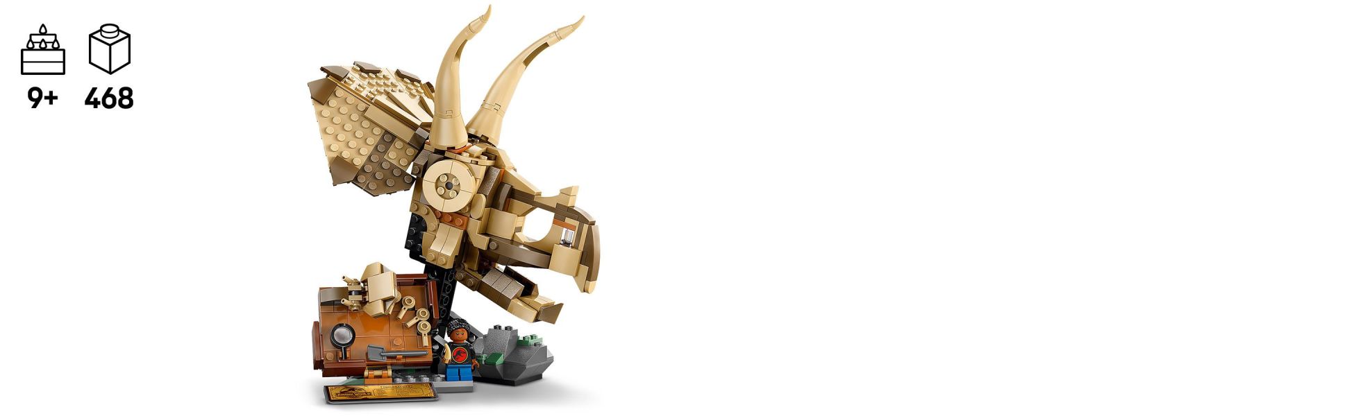 With this LEGO Jurassic World building set, kids can create their very own dinosaur skull before putting it on display.