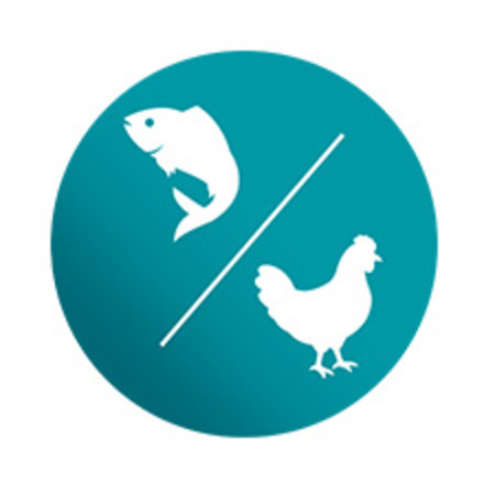 ICON SHOWING FISH AND POULTRY