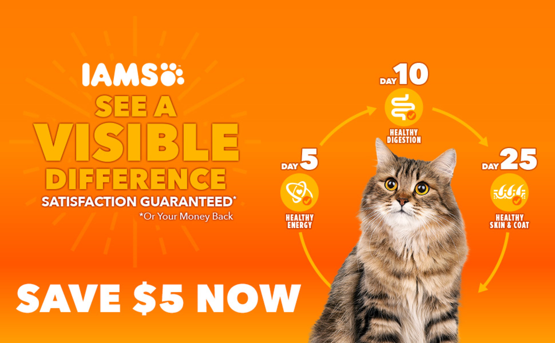 Iams urinary tract health reviews best sale