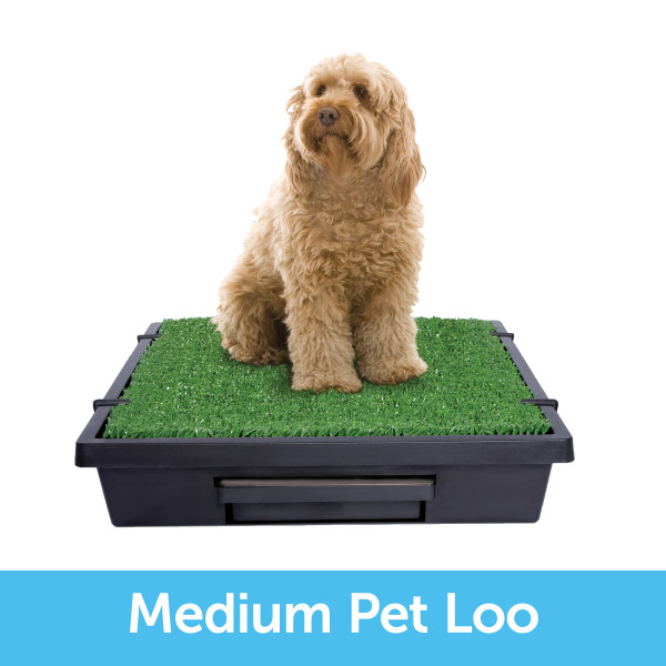 Pet Loo Indoor Yard Training System for Dogs Large Petco