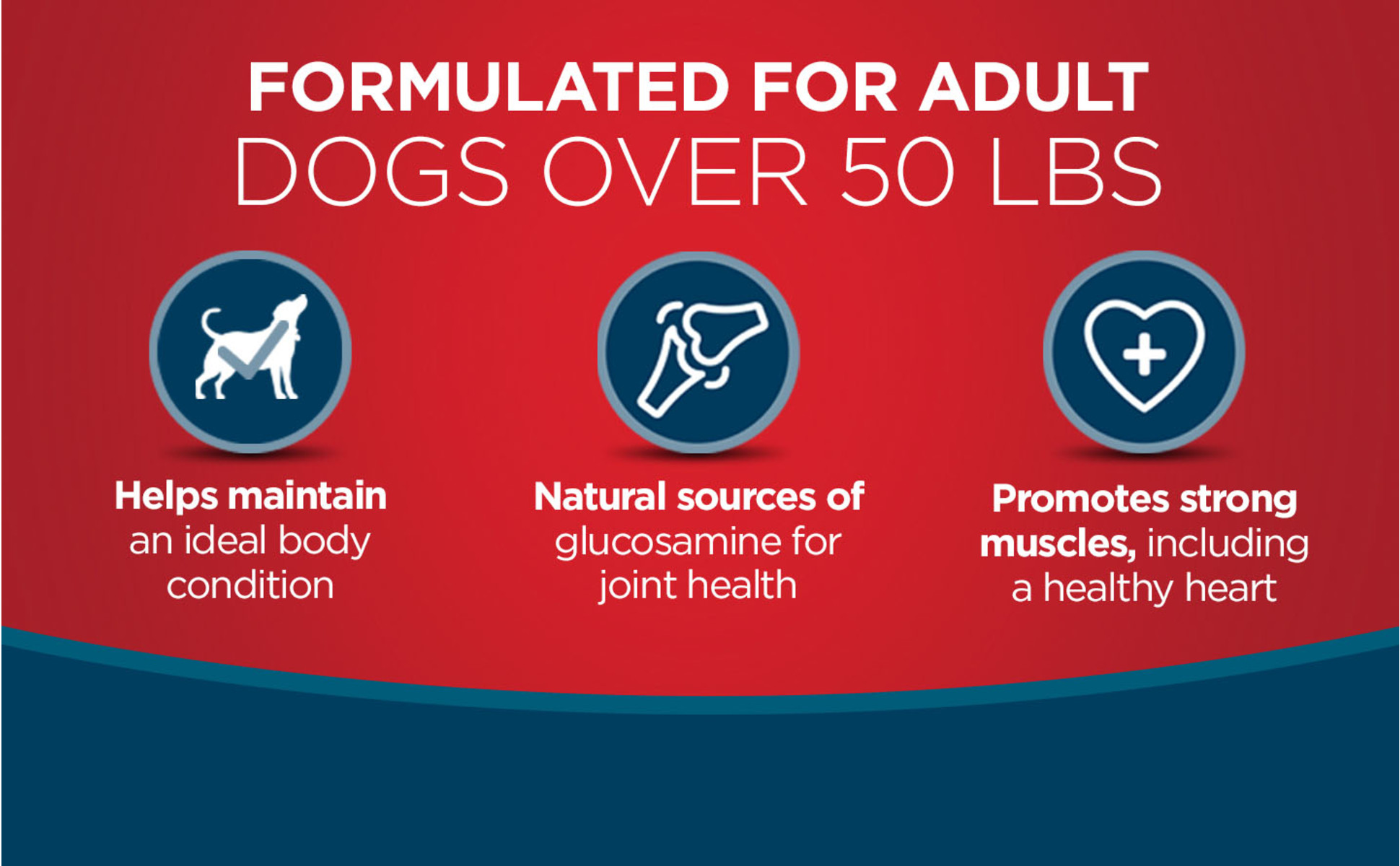 Purina ONE Natural Large Breed +Plus Formula Dry Dog Food, 31.1 Lb Bag