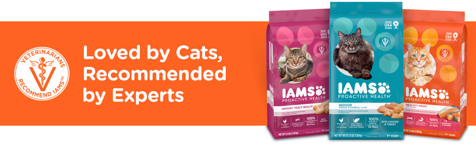 IAMS PROACTIVE HEALTH High Protein Adult Dry Cat Food with Chicken