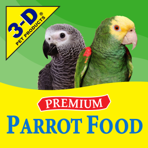 Buy Parrots Online