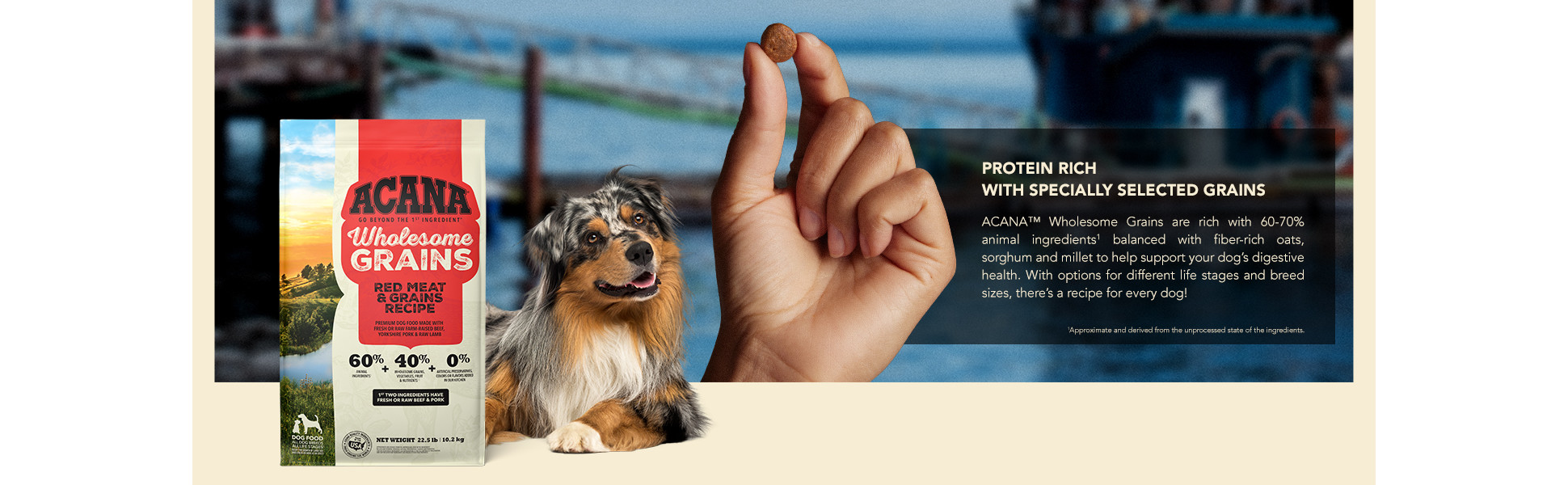Gastrointestinal Dog Food That Contains Grains The Best Dog Foods For  Allergies Of 2023