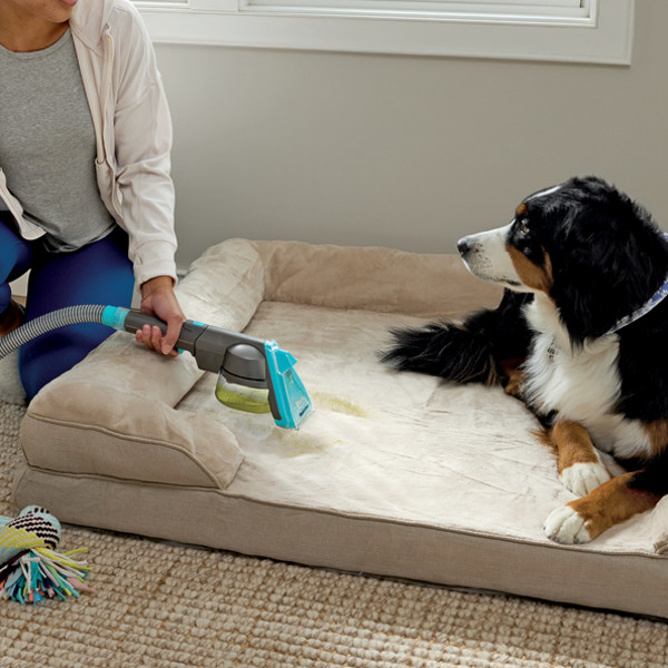 Shark Carpetxpert Hairpro Pet with StainStriker, Corded Deep Rug