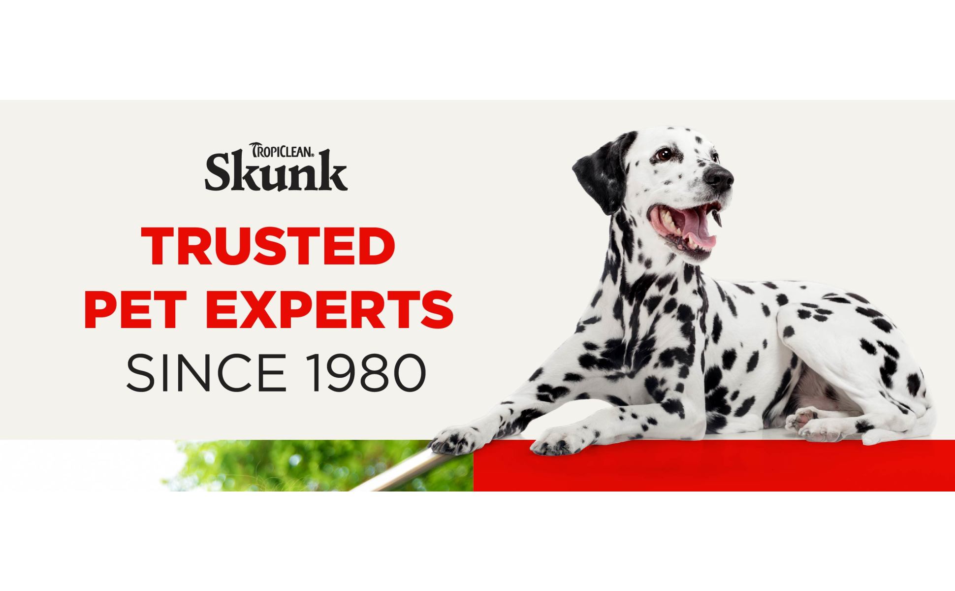 TropiClean Skunk Odor Control Shampoo for Dogs, 20 Petco