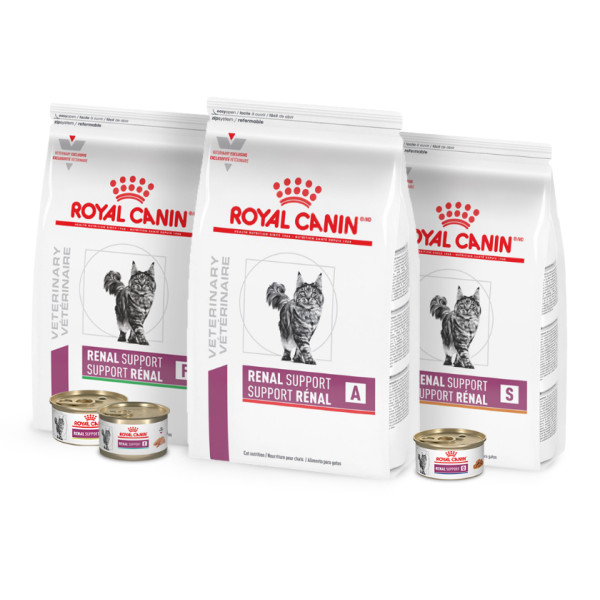 Royal canin renal support fashion difference between