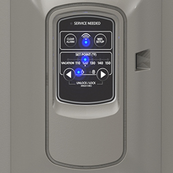 Rheem Gladiator 50 Gal. Medium 12 Year 5500/5500-Watt Smart Electric Water  Heater with Leak Detection and Auto Shutoff XE50M12CS55U1 - The Home Depot