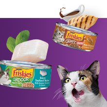 Adult cat with cans of Friskies wet cat food with real seafood, chicken and gravy