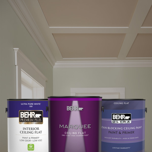 BEHR PREMIUM 1 qt. #BCP01 Powder Pink Interior Chalk Decorative Paint  710004 - The Home Depot