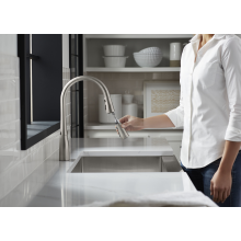 KOHLER Simplice Single-Handle Pull-Down Sprayer Kitchen Faucet in