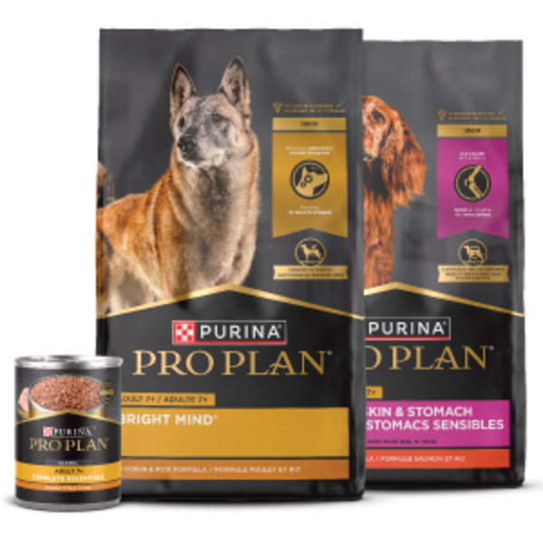 Dog food for senior store dogs with sensitive stomach