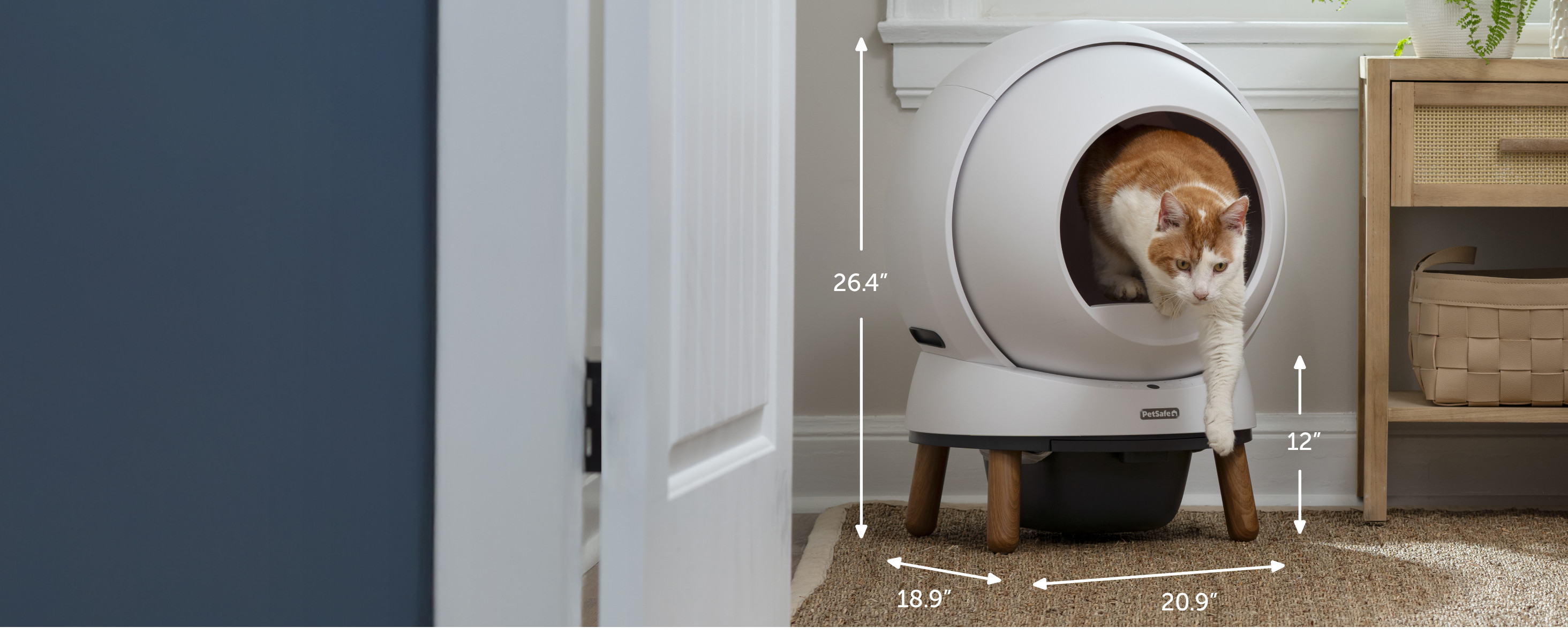 Litter Robot Dog Proof Litter Box Petsmart PetSafe ScoopFree