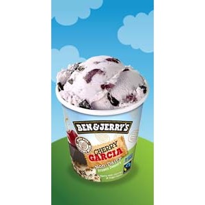 Ben & Jerry's Cherry Garcia® Frozen Dessert