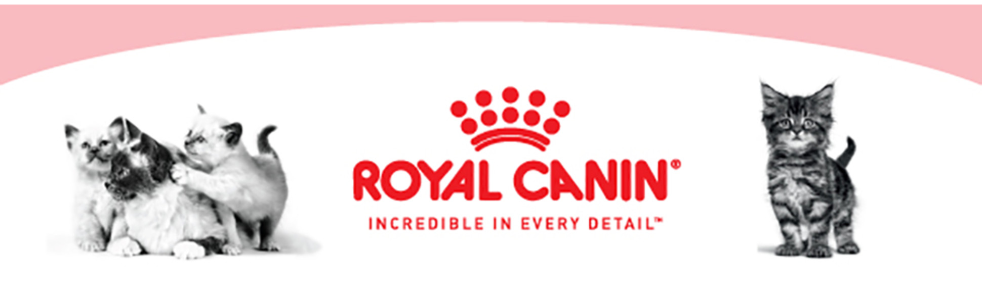 Royal Canin Feline Mother & Babycat Feeding Trial Box | Petco