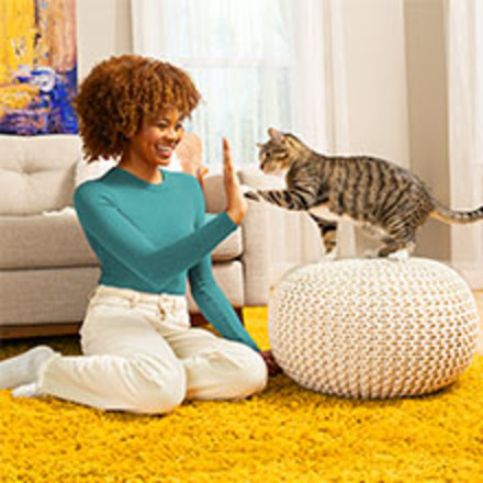 Cat and owner playing together on the living room floor.