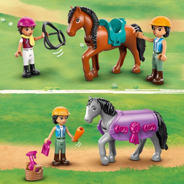 Discover saddles, plus grooming and feeding accessories.
