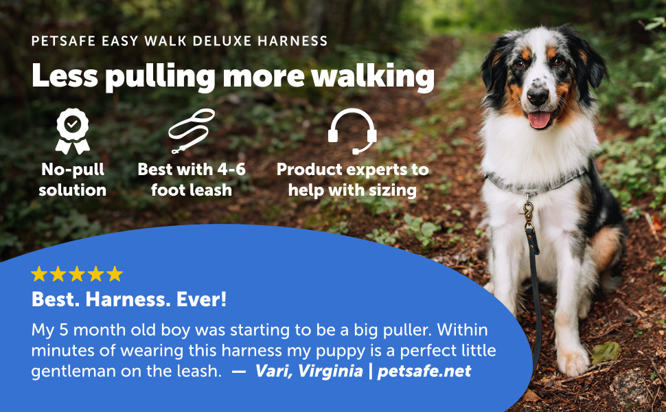 Petsafe Deluxe Easy Walk Harness in Ocean, Medium/Large Petco