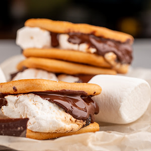 Smore's desert on a plate