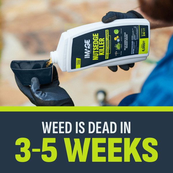IMAGE 24 oz. 6,000 sq. ft. Nutsedge Liquid Weed Killer Concentrate for  Lawns and Landscaping 100551409 - The Home Depot