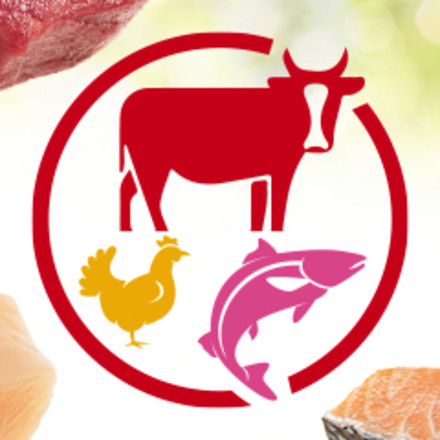 Icons of a cow, chicken, and salmon surrounded by real ingredients.
