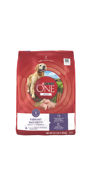 Healthy Puppy Purina ONE Plus Joint Health Dog Food Dry Natural