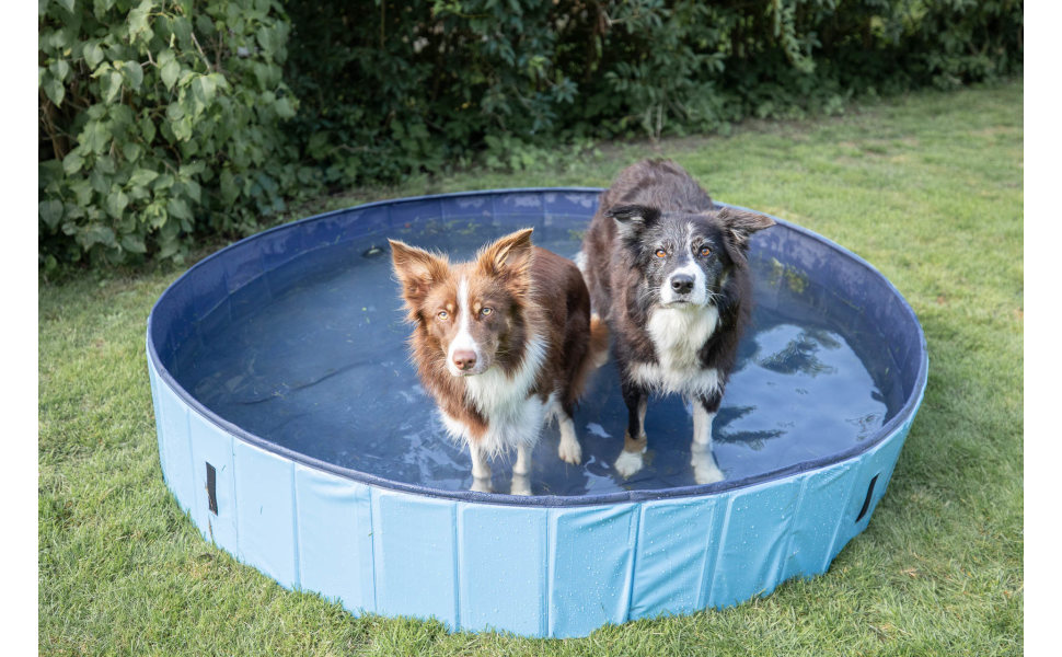 TRIXIE Portable Dog Splash Pool, Medium | Petco